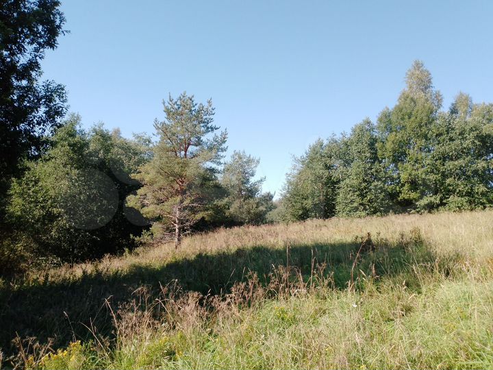 Участок 9 сот. (СНТ, ДНП)