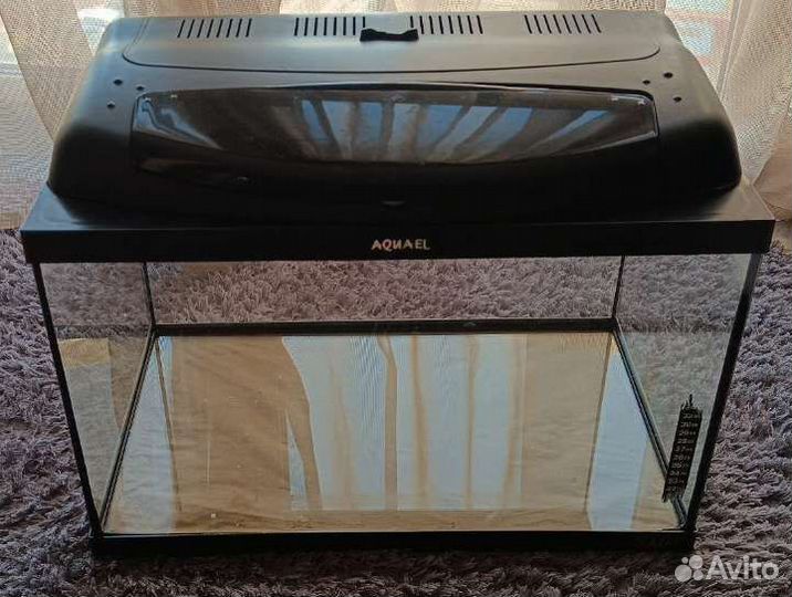 Аквариум, рыбки