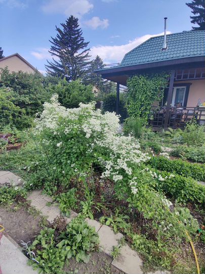 Дача 80 м² на участке 7 сот.