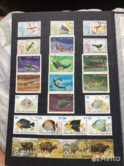 Почтовые марки