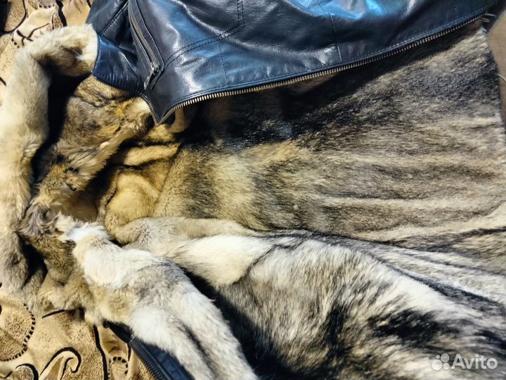 Шкурка животного