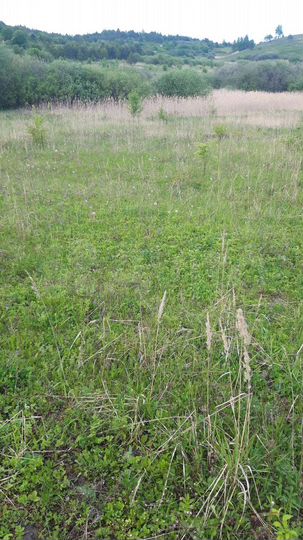 Участок 12 сот. (СНТ, ДНП)