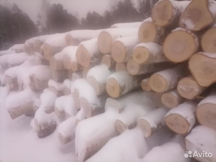 Лес кругляк береза осина