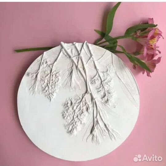 Ботанический Барельеф