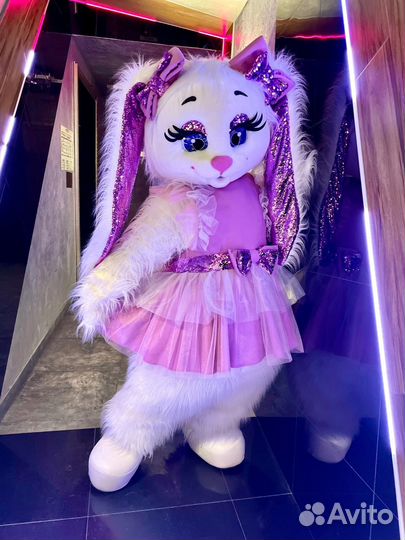 Белый мишка, Зайка Ляля, Поздравление, Аниматор