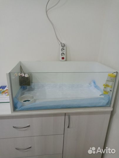 Клетка витрина для грызунов