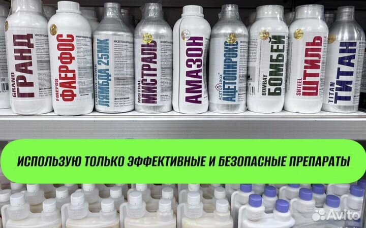 Уничтожение тараканов, клопов. Дезинфекция