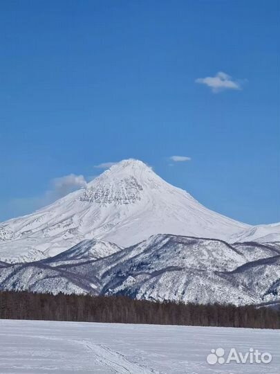 Зимняя сказка по территории Кроноцкого заповедника