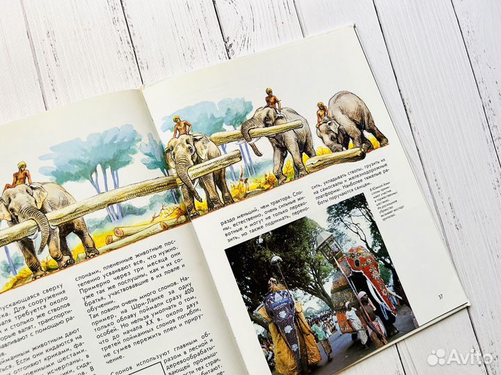 Энциклопедия 