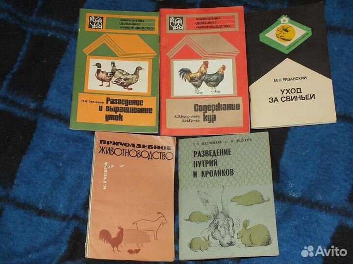 Липецкая Энциклопедия