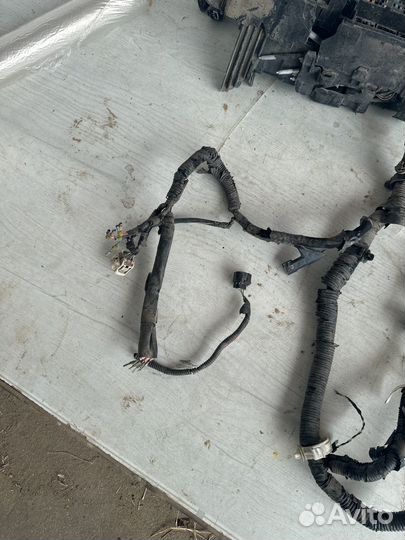 Lexus Lx570 проводка моторного отсека