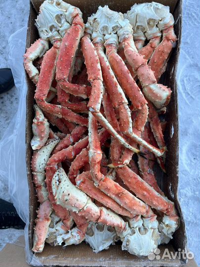 Краб Камчатский