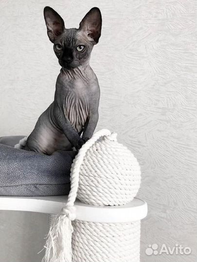 Когтеточка домик для кошки