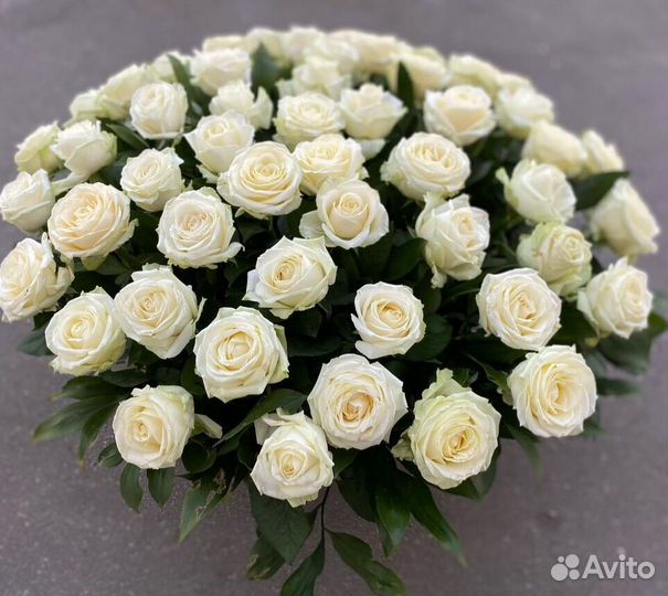 Розы Доставка цветов 35 51 101 роза Цветы