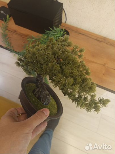 Искусственные растения в горшках