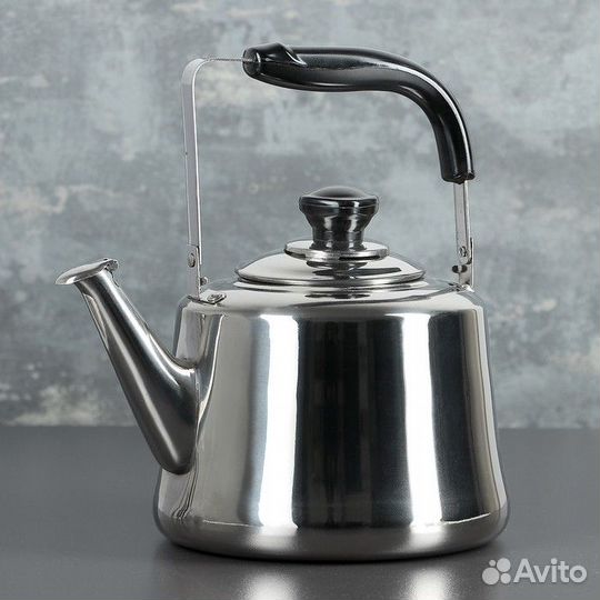 Чайник из нержавеющей стали «Чайковский», 3 л, цве