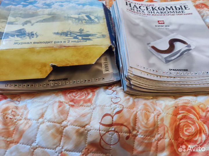 Настоящие насекомые И их знакомые