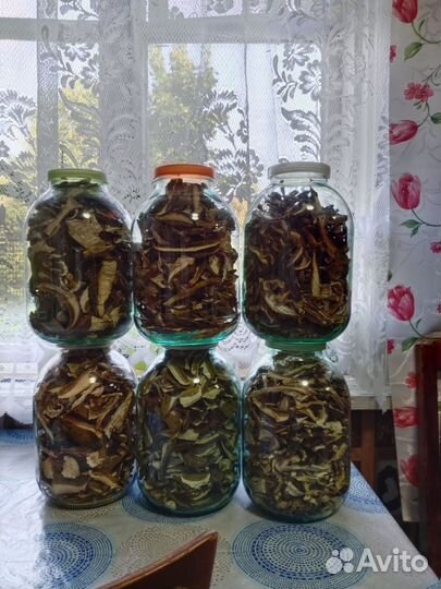 Грибы белые сушеные