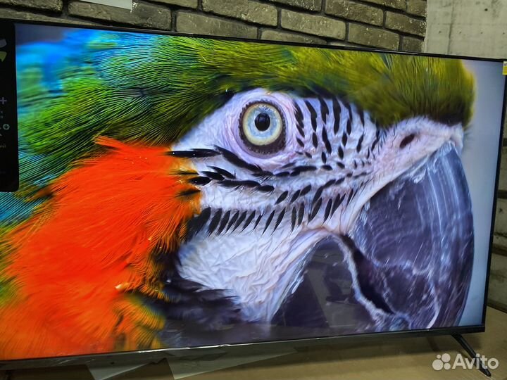 Заряженный mini LED 120 Гц(163 см)