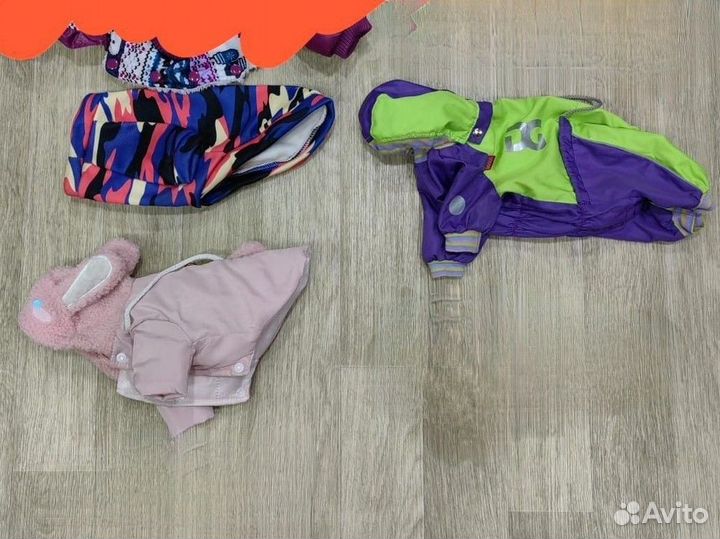 Вещи для собак маленьких пород