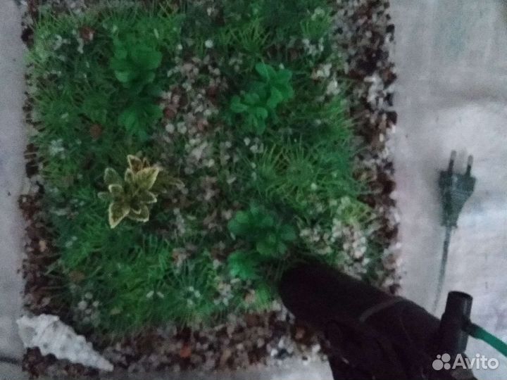 Аквариум для рыб аквариум
