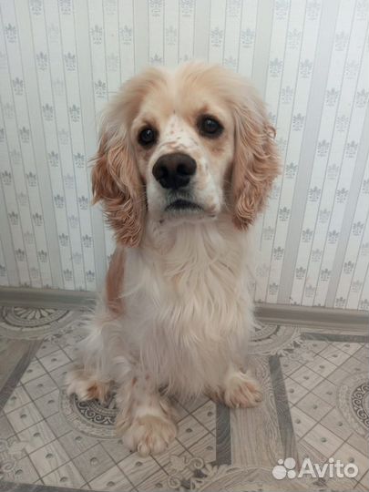 Ищем подругу