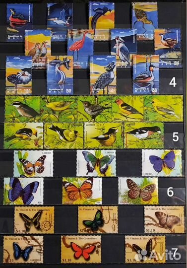 Коллекция фауна 60-90х 6 (чистые )