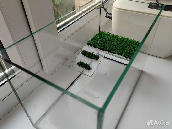 Террариум для черепахи