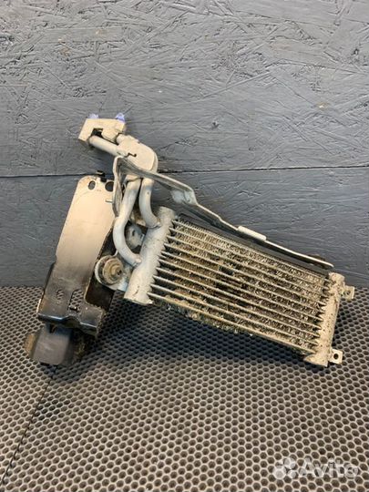 Радиатор масляный Bmw 335 Xi E92 N54 2007