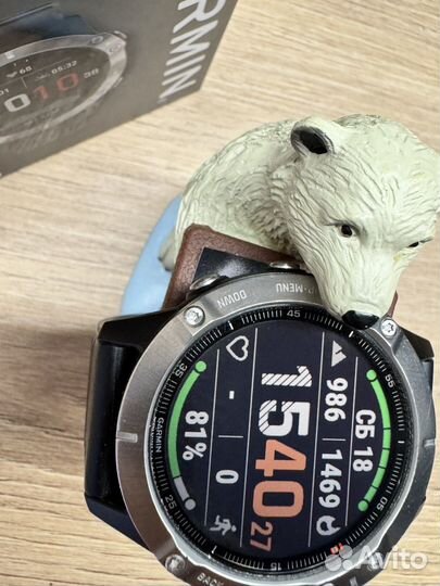 Garmin fenix 6