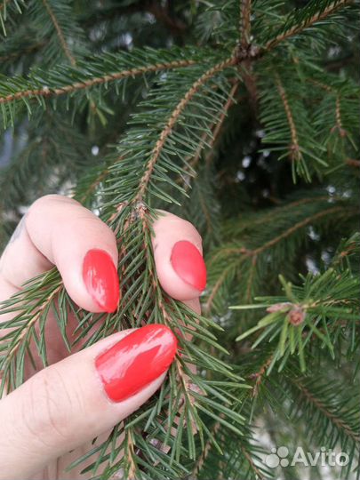 Маникюр на дому