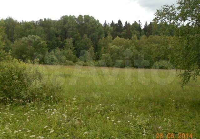 Участок 2,7 га (ИЖС)