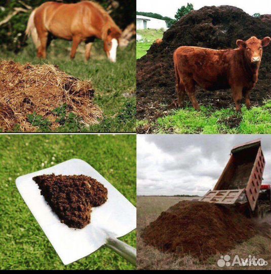 Песок щебень перегной навоз доставка