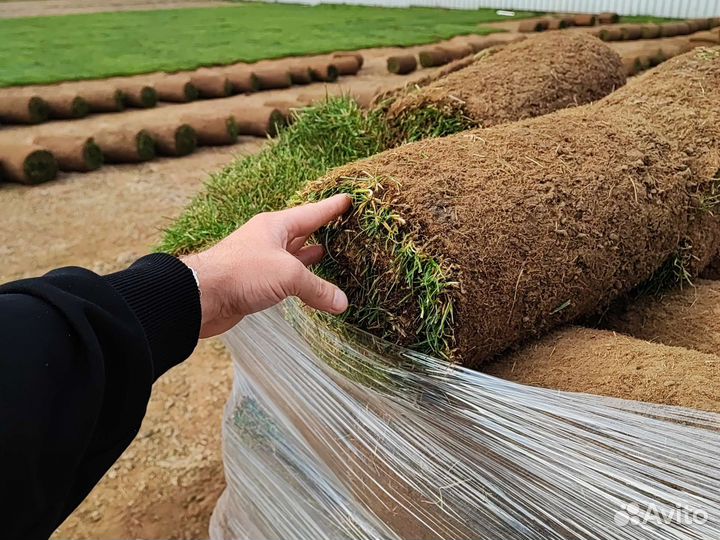 Рулонный Газон