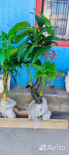 Искусственные цветы 170см