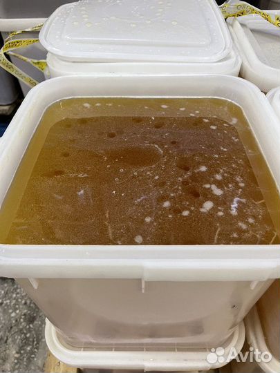 Акациевый мед свежий опт