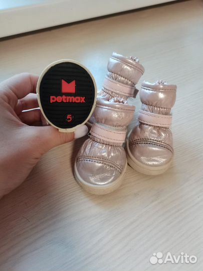 Ботиночки для собак