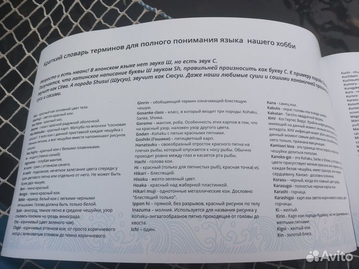 Атлас-определитель пород японских карпов кои