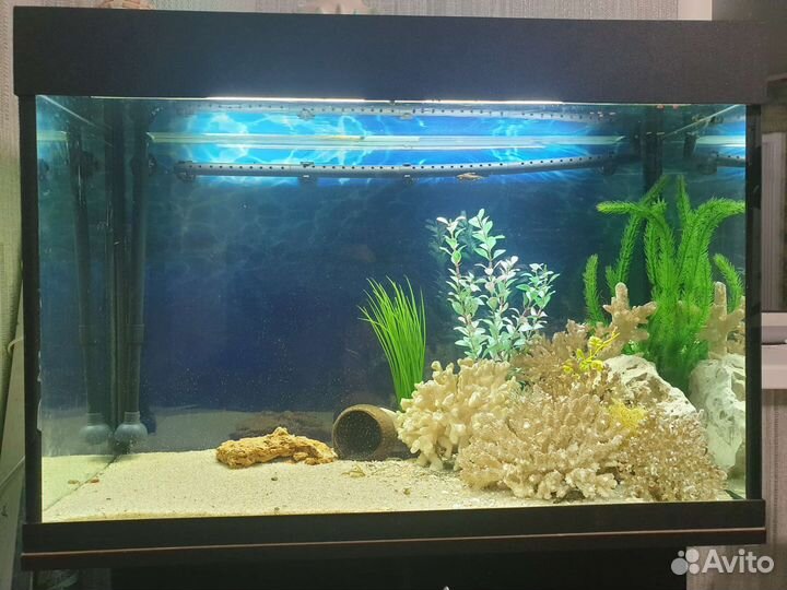 Аквариум