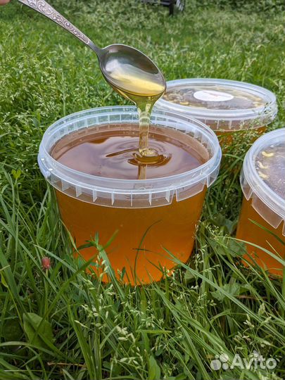 Мёд свежий 2023, 3 литра
