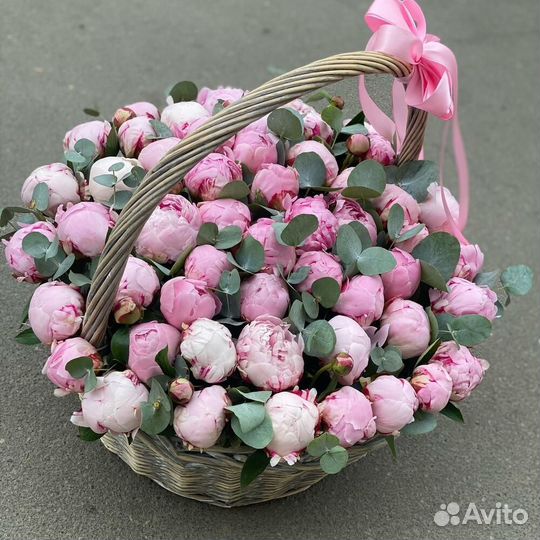 Пионы оптом