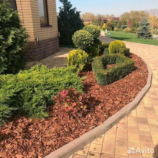 Мульча лиственницы