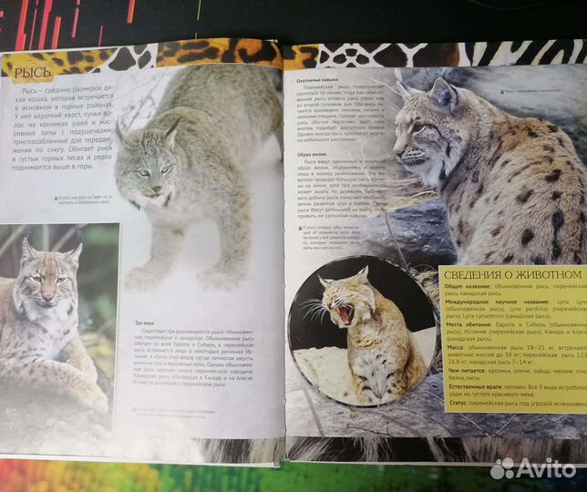 Энциклопедия о животных