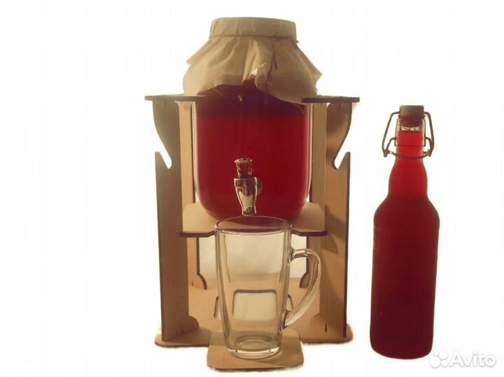 Комбуча / Чайный гриб (есть банка, подставка и тд)