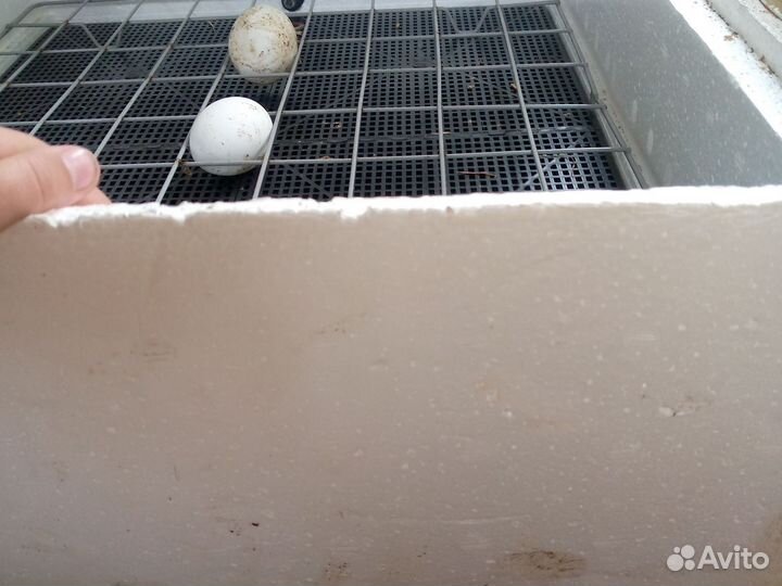 Инкубатор для яиц автоматический бу роботает