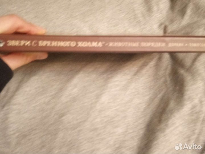 Комиксы Звери с бренной холма