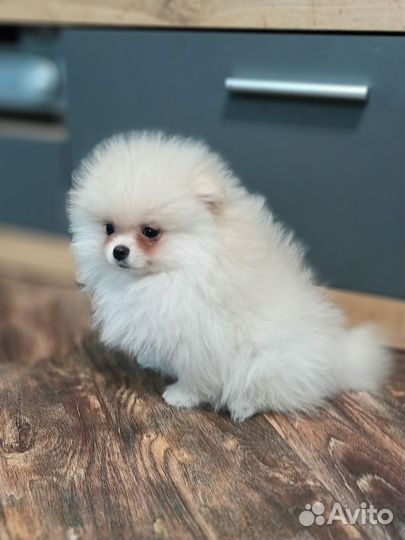 Кремовая малышка