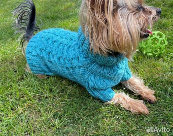Одежда для маленьких собак