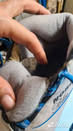 Лыжные ботинки nordway 37