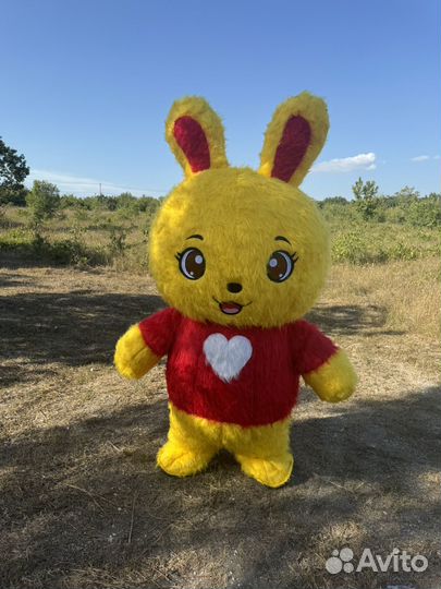 Поздравление зайка /тедди/ белка /аниматор